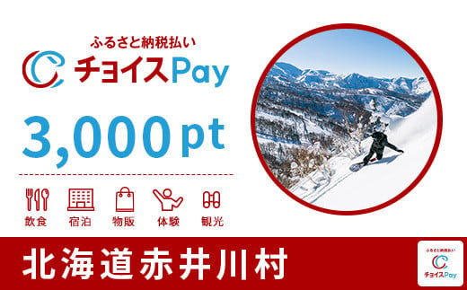 赤井川村チョイスPay 3,000pt（1pt＝1円）