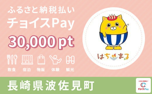 ZZ06 チョイスPay 30,000pt（1pt＝1円）