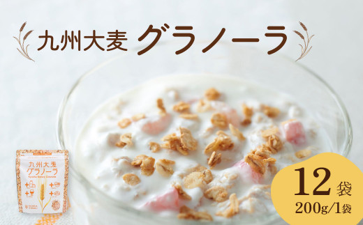 九州 大麦 グラノーラ 200g×12袋 香料 保存料の添加物は不使用