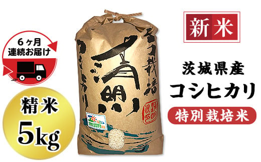 20-04【6ヵ月連続お届け】茨城県産コシヒカリ特別栽培米5kg【大地の