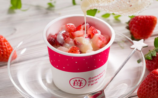 完熟 冷凍 いちご 「ぷち苺」 50g×12カップ 合計600g 練乳付き 1本（120g） 園村苺園