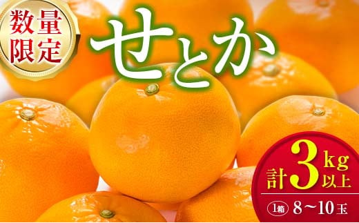 ≪数量限定≫せとか(計3kg以上) フルーツ 果物 柑橘 みかん 希少 国産