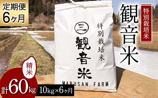 ＜定期便＞特別栽培米～観音米～ 10kg×6ヶ月連続 （令和5年産） 【マルサンファーム】 精米 F21J-207