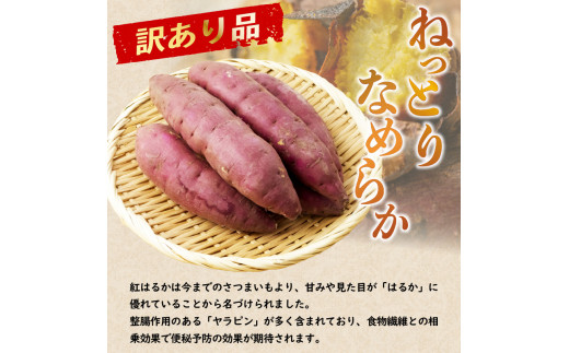 当店の記念日 さつまいも24キロ訳あり - 食品