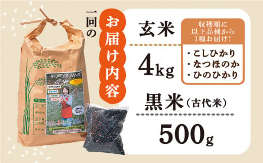 全12回定期便】「健康志向なあなたへ」平戸の健康 玄米・黒米セット 平戸市 / エコファーム永田 [KAB177]｜ふるラボ