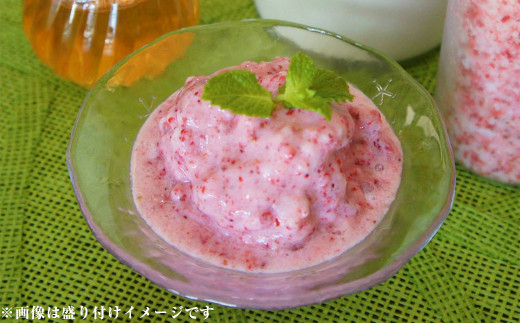 完熟 冷凍 いちご 「さら苺」 1kg（500g×2パック） 園村苺園