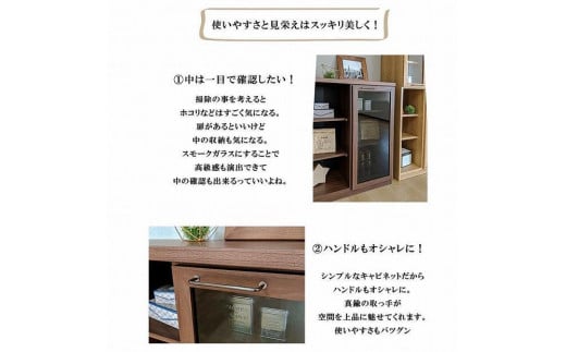 キャビネット 完成品 本棚 大容量 国産 書棚 120ロータイプ（ ゲーム