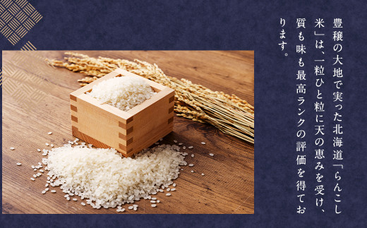 【11ヶ月定期便】らんこし米食べ比べ (ななつぼし・ゆめぴりか) 各5kg