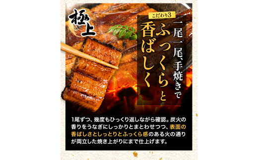 うなぎ 炭火焼 手焼き うまかうなぎ ４尾 1尾155g以上 刻みうなぎ 《30日以内に出荷予定(土日祝除く)》 国産 九州産 たれ さんしょう  のセット ウナギ 鰻 ギフト 贈り物 蒲焼 熊本 SDGs