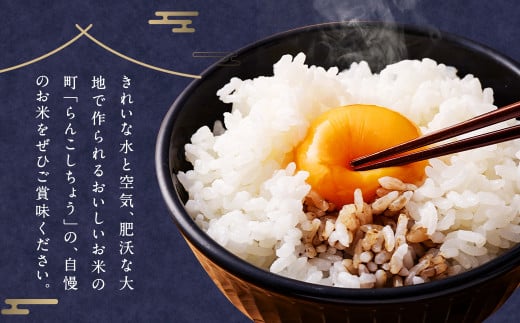 らんこし米 食べ比べ (ななつぼし・ゆめぴりか) 各5kg
