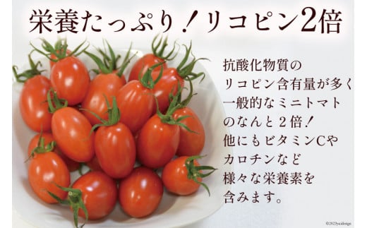 AA001 全国にファンがいる高級フルーツトマト どっさり！アイコ 3kg