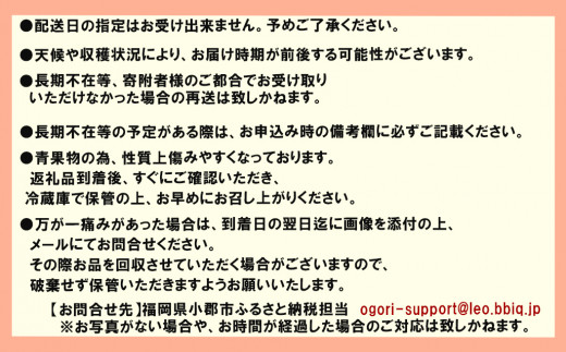 1月配送＞「しあわせもん」あまおう 化粧箱 2箱 いちご職人 白木の