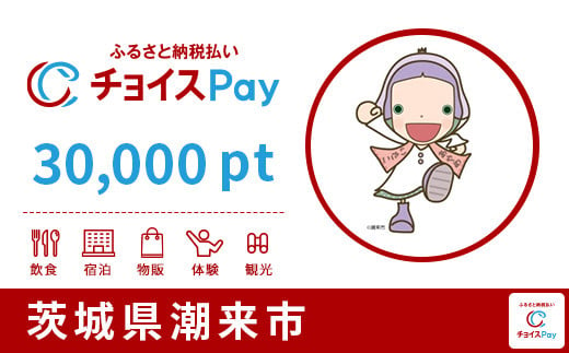 潮来市チョイスPay 30,000pt（1pt＝1円）