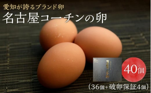 ☆名古屋コーチンの卵40個入り（36個+破卵保証4個） 737402 - 愛知県稲沢市