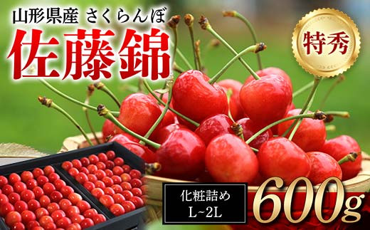 ≪先行予約≫ 贈答用 2024年 山形県産 さくらんぼ 佐藤錦 化粧詰め