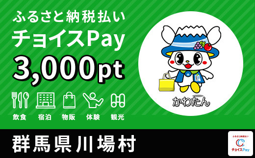 川場村チョイスPay 3,000pt（1pt＝1円）