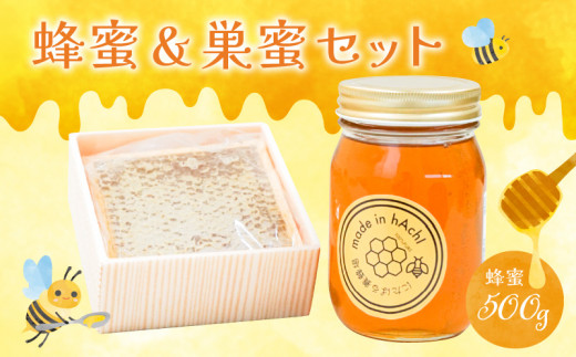 蜂蜜500gと巣蜜１つのセット 359977 - 福岡県久留米市
