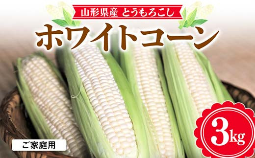 ≪先行予約≫ 農業者支援 ご家庭用 2024年 山形県産 ホワイトコーン