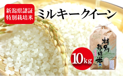 令和5年産 新潟県認証特別栽培米 ミルキークイーン 10kg 713898 - 新潟県新潟市