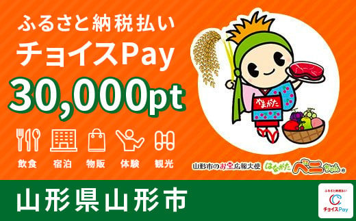 FY20-534 山形市 チョイスPay 30,000pt(1pt＝1円)