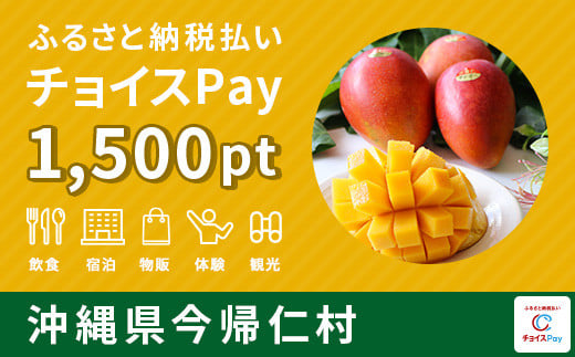 チョイスPay 1,500pt（1pt＝1円）