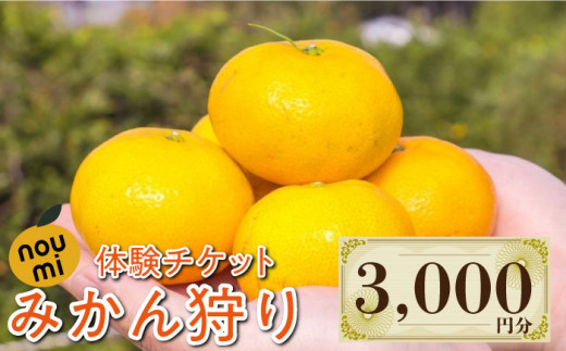川西農園みかん畑 みかん狩り 体験チケット 3,000円分 みかん 果物 フルーツ 柑橘 みかん狩り 江田島市/川西農園みかん畑 [XBC004] 984015 - 広島県江田島市