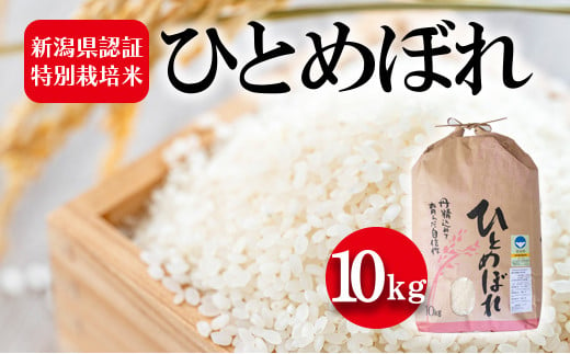 令和5年産 新潟県認証特別栽培米 ひとめぼれ10kg 895153 - 新潟県新潟市