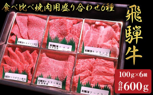 【飛騨牛】食べ比べ焼肉盛り合わせ6種　各100g 558526 - 岐阜県岐阜市