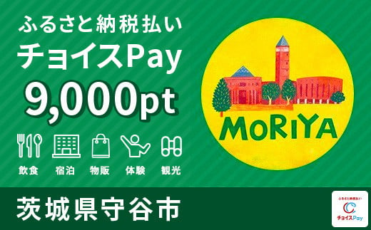 守谷市チョイスPay 9,000pt（1pt＝1円）