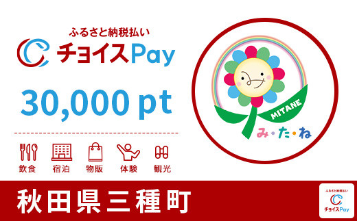 三種町チョイスPay 30,000pt（1pt＝1円）