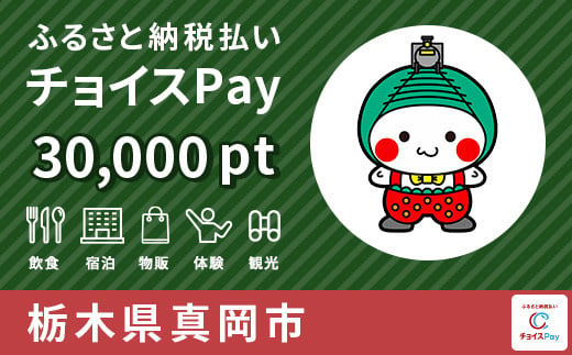 真岡市チョイスPay 30,000pt（1pt＝1円）