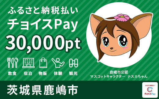 鹿嶋市チョイスPay 30,000pt（1pt＝1円）