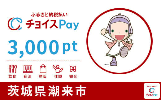 潮来市チョイスPay 3,000pt（1pt＝1円）