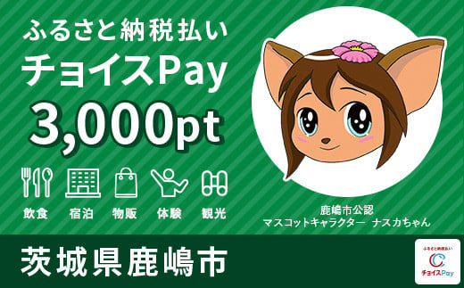 鹿嶋市チョイスPay 3,000pt（1pt＝1円）