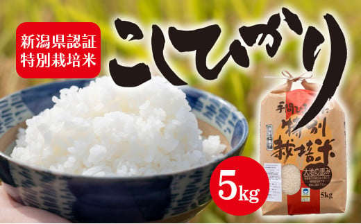 令和5年産 新潟県認証特別栽培米 コシヒカリ 5kg