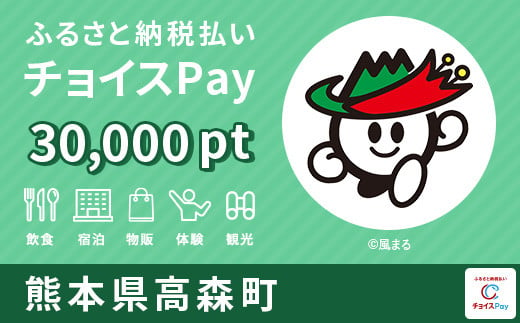 高森町チョイスPay 30,000pt（1pt＝1円）