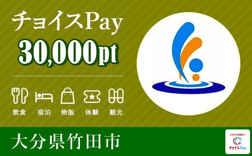 竹田市 チョイスPay 30,000ポイント