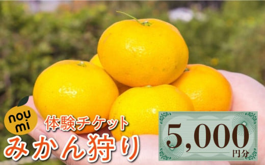 川西農園みかん畑 みかん狩り 体験チケット 5,000円分 みかん 果物 フルーツ 柑橘 みかん狩り 江田島市/川西農園みかん畑 [XBC006] 984017 - 広島県江田島市