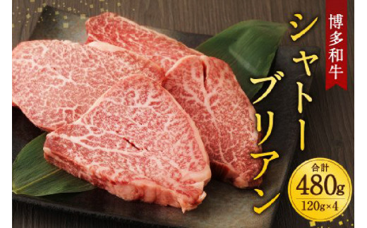 肉 博多和牛 シャトーブリアン 120g×4枚 計480g [くしだ企画 福岡県