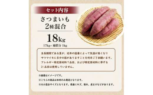 天然自然薯　1・7kg