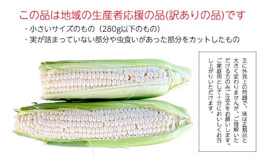 ≪先行予約≫ 農業者支援 ご家庭用 2024年 山形県産 ホワイトコーン