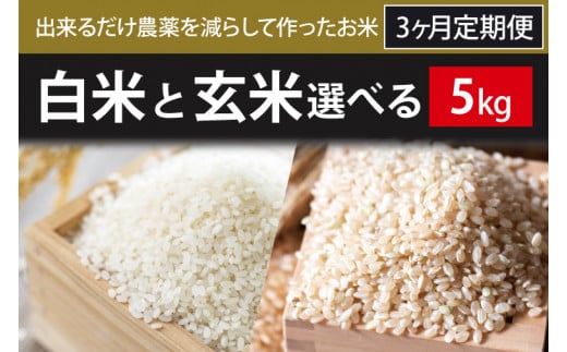 BI-76 3ヶ月定期便【できるだけ農薬を減らして作ったお米】白米または玄米　5kg×3回