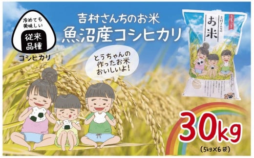 従来品種｜ 魚沼産 コシヒカリ 5kg ×6袋 計30kg 米 こしひかり お米