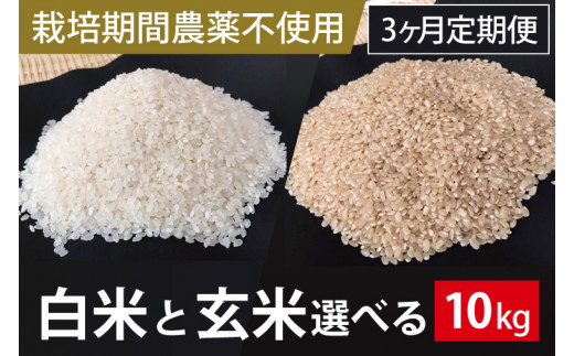 BI-67 3ヶ月定期便【栽培期間農薬不使用】白米または玄米　10kg×3回 280905 - 茨城県行方市