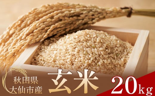 【令和5年産】 あきたこまち 玄米20kg(5kg×4袋) 秋田県大仙市産
