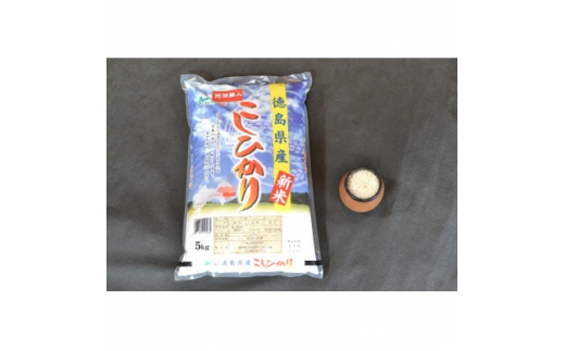 徳島県産コシヒカリ「阿波美人」令和5年産 10kg【1267548】 - 徳島県