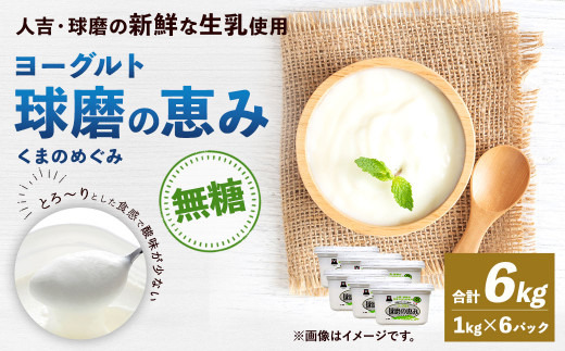 球磨の恵み ヨーグルト 砂糖不使用 1kg×6パック 無糖 乳製品 945721 - 熊本県相良村