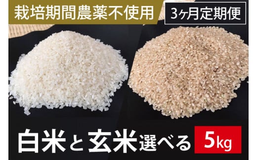 BI-63 3ヶ月定期便【栽培期間農薬不使用】白米または玄米　5kg×3回