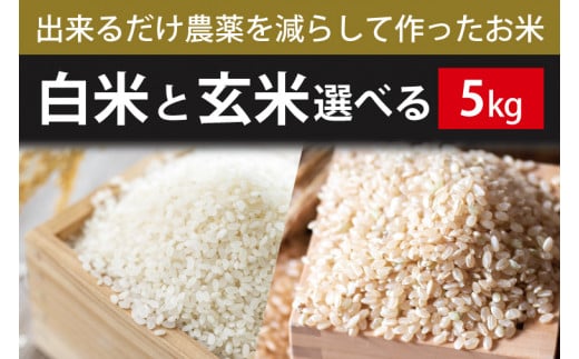 BI-72 【できるだけ農薬を減らして作ったお米】白米または玄米　5kg 280909 - 茨城県行方市