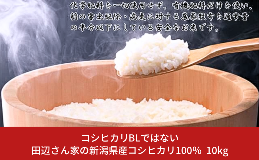 コシヒカリBLではない田辺さん家の新潟県産コシヒカリ100％ 10kg [村の